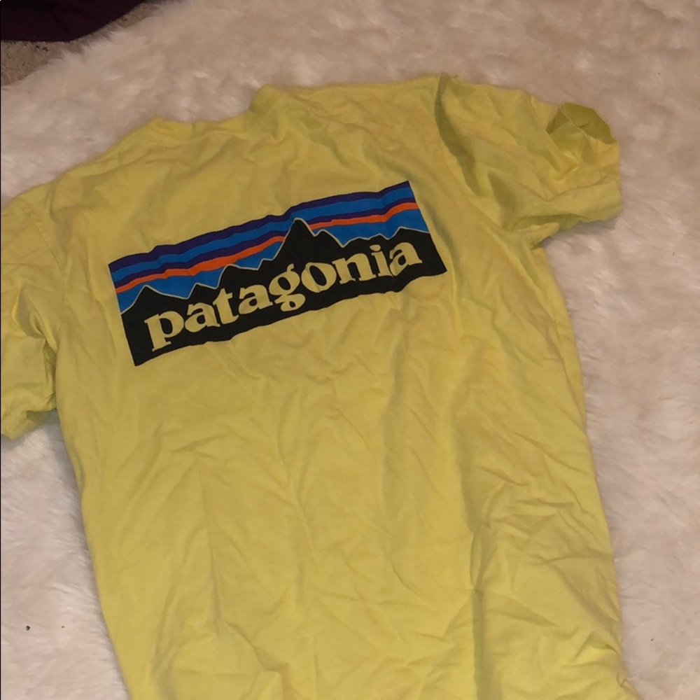 patagonia tshirt